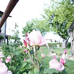 Massoni Wine Relais Bed and breakfast