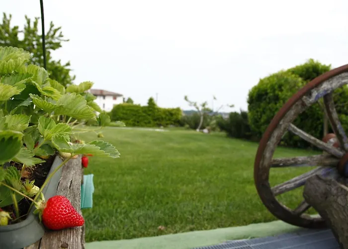 Massoni Wine Relais Bed & Breakfast