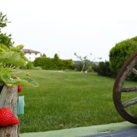 Massoni Frühstückspension