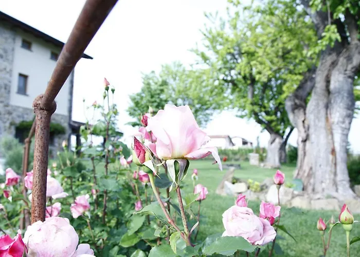 Massoni Bed and Breakfast