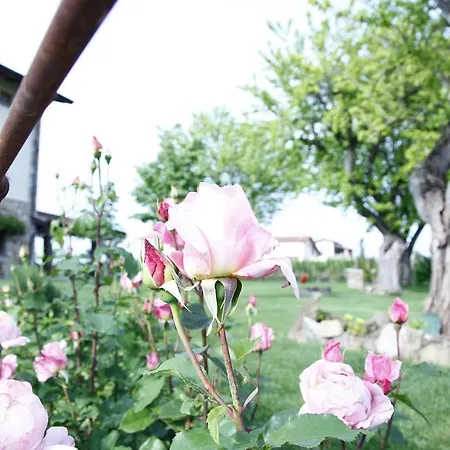 Massoni Bed & Breakfast