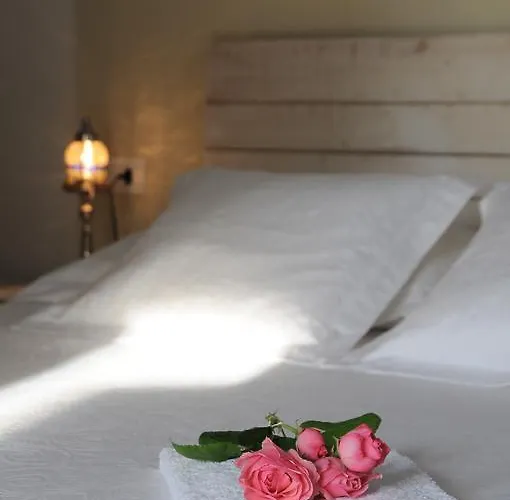 Massoni 佩斯基耶拉德加达